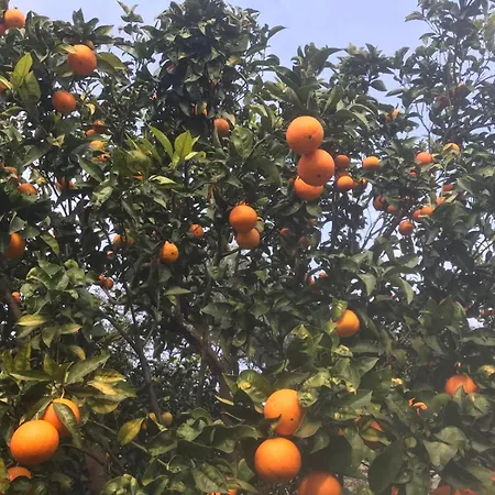 La Baracca Gênes